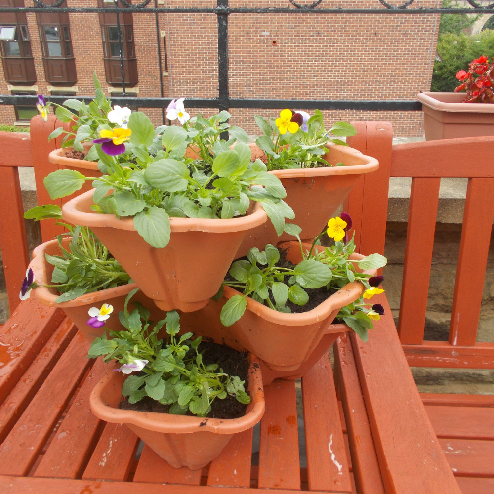 Durham care home Resident helps prepare home for gardening competition